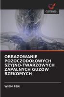 Obrazowanie Pozoczodolowych Szyjno-Twarzowych Zapalnych Guzów Rzekomych 6209301533 Book Cover