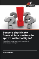 Senso e significato Come si fa a mettere lo spirito nella bottiglia? (Italian Edition) 6209170730 Book Cover
