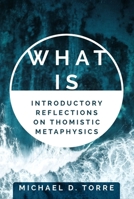 Metaphysics 1594173672 Book Cover