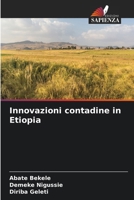 Innovazioni contadine in Etiopia (Italian Edition) 6208205395 Book Cover