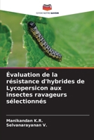 Évaluation de la résistance d'hybrides de Lycopersicon aux insectes ravageurs sélectionnés (French Edition) 6205110946 Book Cover
