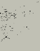 Zus 0998861634 Book Cover