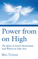Power from on High: The Spirit in Israel's Restoration and Witness in Luke-Acts (Journal of Pentecostal Theology. Supplement Series, 9) 1498225551 Book Cover