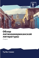 Обзор латиноамериканской литературы: Очерки 6206290158 Book Cover