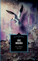 Les Débris du ciel (French Edition) 2930492740 Book Cover