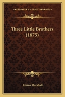 Three Little Brothers 0469009292 Book Cover