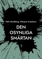 Den osynliga smärtan (Swedish Edition) 9180807704 Book Cover
