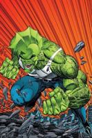 Savage Dragon Archives Volume 1 1582407231 Book Cover