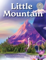 Little Mountain 1732727848 Book Cover