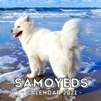 Samoyeds: 2021 Calendar, Cute Gift Idea For Samoyed Lovers Or Owners Men And Women B08RC4BQ2M Book Cover