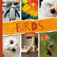 Birds 1786374315 Book Cover