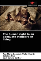 The human right to an adequate standard of living 6203663972 Book Cover