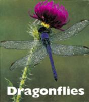Dragonflies (Naturebooks Creepy Crawlers) 1592966357 Book Cover