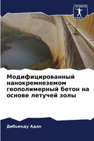 Модифицированный нанок&# 6205372975 Book Cover