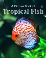 A Picture Book of Tropical Fish: A Beautiful Picture Book for Seniors With Alzheimer’s or Dementia. B08L7XZJJY Book Cover