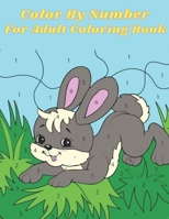 Color By Number For Adult Coloring Book: An Adult Coloring Book with Fun, Easy, and Relaxing Coloring Pages B093CMQY4K Book Cover