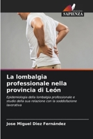 La lombalgia professionale nella provincia di León: Epidemiologia della lombalgia professionale e studio della sua relazione con la soddisfazione lavorativa (Italian Edition) B0CL5SMYWW Book Cover