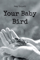 Your Baby Bird 1685264263 Book Cover
