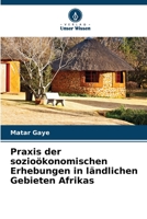 Praxis der sozioökonomischen Erhebungen in ländlichen Gebieten Afrikas 6206226107 Book Cover