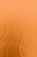 The International Politics of the Asia Pacific: Since 1945 (Politics in Asia Series) 0415474809 Book Cover