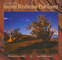 A Day in the Ancient Bristlecone Pine Forest 094419785X Book Cover