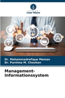 Management-Informationssystem (German Edition) 6208617405 Book Cover