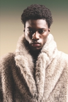 THE. MODEL LOVER BOY —-BOOK —-2—OF—6: KNOCKING ON DOORS B0GMGS3SZ9 Book Cover