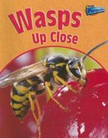 Wasps Up Close (Minibeasts Up Close) 1410915336 Book Cover