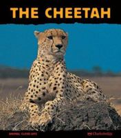The Cheetah: Fast as Lightning (Animal Close-Ups) (Animal Close-Ups) 1570916268 Book Cover