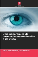 Uma panorâmica do desenvolvimento do olho e da visão (Portuguese Edition) 6207601645 Book Cover