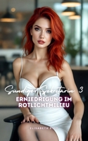 Sündige Sekretärin 3: Erniedrigung im Rotlichtmilieu (German Edition) B0FLTVNB7J Book Cover