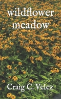 wildflower meadow B0C6BX4X3W Book Cover