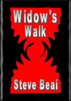 Widow's Walk 1583650229 Book Cover