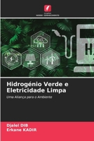 Hidrogénio Verde e Eletricidade Limpa (Portuguese Edition) 6208941717 Book Cover