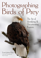 Photographing Birds of Prey: The Art of Identifying & Documenting Raptors 1682034240 Book Cover