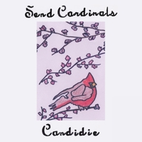 Send Cardinals 166571560X Book Cover