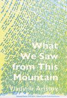 What We Saw from This Mountain 1937027376 Book Cover