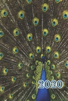 2020: Proud as a Peacock Colorful Weekly Monthly Planner 12 Month Diary Calendar Date Book, Appointment Schedule, Handy Purse or Pocket Organizer 167690266X Book Cover