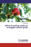 Effect of potting media on re-bagged cashew grafts 6200539618 Book Cover