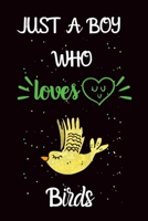 Just A Boy Who Loves Birds: A Great Gift Lined Journal Notebook For Birds Lover.Best Idea For Christmas/Birthday/New Year Gifts 1676745009 Book Cover