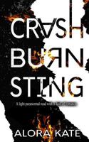 Crash Burn Sting 1720564515 Book Cover