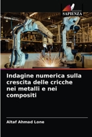 Indagine numerica sulla crescita delle cricche nei metalli e nei compositi 6203656240 Book Cover
