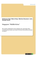 Singapurs Midlife-Krise: Mit welchen Maßnahmen kann Singapur die schwierige Phase nachhaltig überwinden, um wieder ein hohes Wirtschaftswachstum zu haben? 3346251446 Book Cover