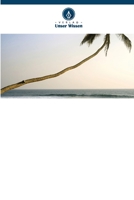 DRUCK AUF DAS BETRIEBSKAPITAL IN DER TOURISMUS- UND REISEINDUSTRIE: LEISTUNG IN SRI LANKA 6205244942 Book Cover