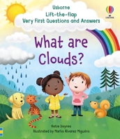 What are Clouds? First Questions and Answers 1805318330 Book Cover
