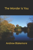 The Wonder is You B08H5DD74C Book Cover