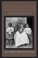 Engendering African American Archaeology: A Southern Perspective 1621901939 Book Cover