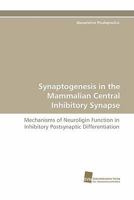 Synaptogenesis in the Mammalian Central Inhibitory Synapse 3838122666 Book Cover