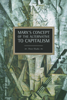 Marx's Concept of the Alternative to Capitalism 1608462757 Book Cover