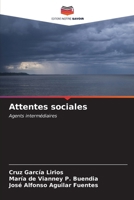 Attentes sociales (French Edition) 6207003322 Book Cover